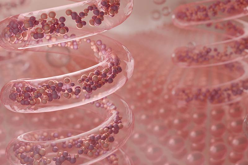 how to increase elastin